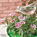 2-Piece Self-Watering Glass Plant Dispenser Set - Water and Decorate Your Plants!
