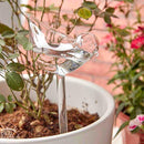 2-Piece Self-Watering Glass Plant Dispenser Set - Water and Decorate Your Plants!