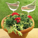 2-Piece Self-Watering Glass Plant Dispenser Set - Water and Decorate Your Plants!