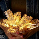 LED String Lights with Clothespins for Photography