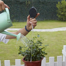 2 Hanging Plant Hooks - The Easiest Way to Care for Hanging Plants!