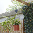2 Hanging Plant Hooks - The Easiest Way to Care for Hanging Plants!
