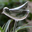 2-Piece Self-Watering Glass Plant Dispenser Set - Water and Decorate Your Plants!